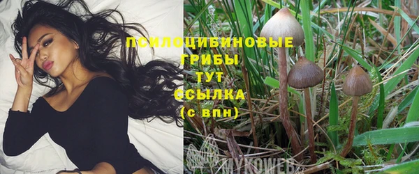 альфа пвп Осташков