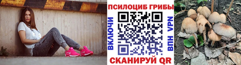 darknet официальный сайт даркнет сайт Пудож Галлюциногенные грибы мицелий кракен