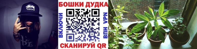 цены   Пудож  МЕГА   МАРИХУАНА марихуана 